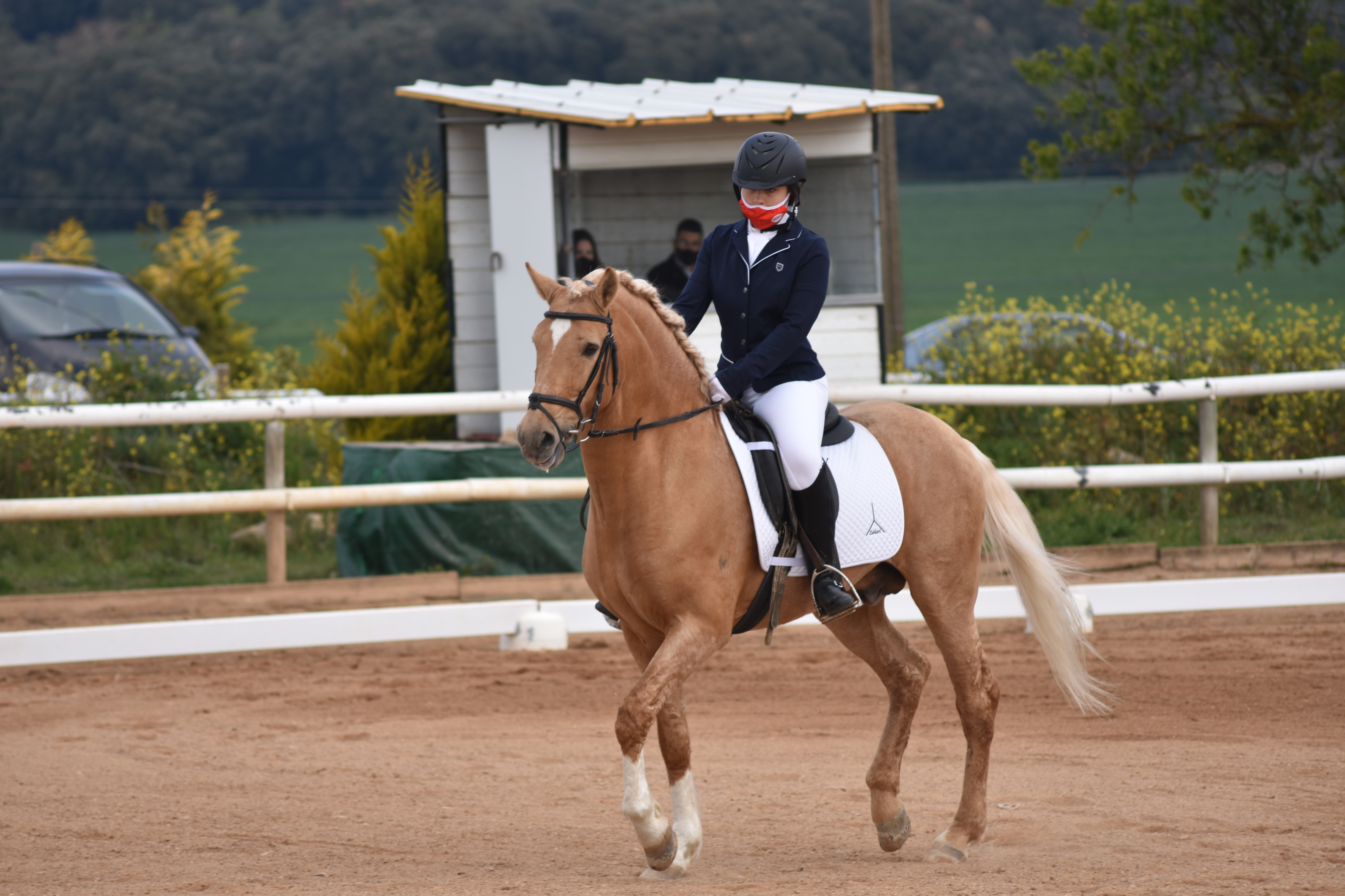Más fotos de la Primera Fase de Doma Clásica en Acedo